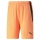 teamLIGA Short Neon Citrus-Puma Black