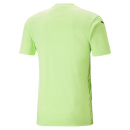 teamULTIMATE Trikot Fizzy Lime