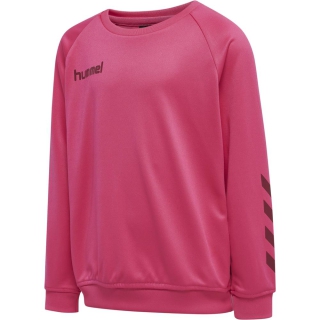 hmlPROMO KIDS POLY SWEATSHIRT RASPBERRY SORBET