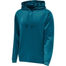 hmlCORE XK POLY SWEAT HOODIE BLUE CORAL