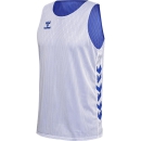 hmlCORE XK REVERSE BASKET JERSEY TRUE BLUE/WHITE