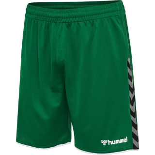 hmlAUTHENTIC POLY SHORTS EVERGREEN M