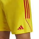 TIRO 23 LEAGUE Youth-Short team yellow/team colleg red