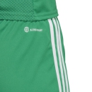 TIRO 23 LEAGUE Women´s Short team green/white