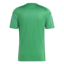 Youth-Jersey CAMPEON 23 team green