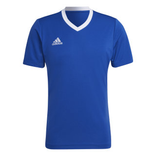 Trikot ENTRADA 22 royalblau