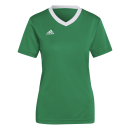 Womens-Jersey ENTRADA 22 team green