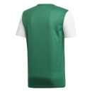 Youth-Jersey ESTRO 19 bold green