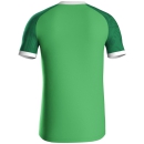 Trikot Iconic KA soft green/sportgrün
