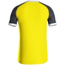 Trikot Iconic KA soft yellow/schwarz