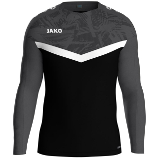 Sweat Iconic schwarz/anthrazit L