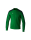 EVO STAR Sweatshirt smaragd/pine grove