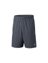 TEAM Shorts slate grey