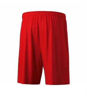 TEAM Shorts rot