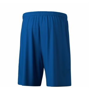 TEAM Shorts new royal