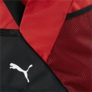 teamGOAL Sporttasche L PUMA Red-PUMA Black