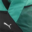 teamGOAL Sporttasche L Sport Green-PUMA Black