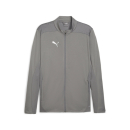 teamFINAL Trainingsjacke Cast Iron-PUMA Silver