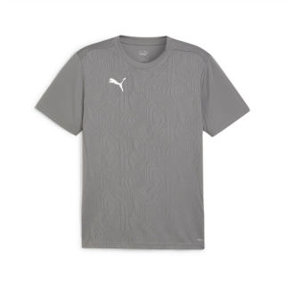 teamFINAL Trainingsshirt Cast Iron-PUMA Silver