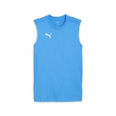 teamFINAL Training Jersey SL Ignite Blue-PUMA Silver