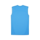 teamFINAL Training Jersey SL Ignite Blue-PUMA Silver