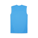 teamFINAL Trainingsshirt SL Ignite Blue-PUMA Silver