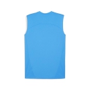 teamFINAL Trainingsshirt SL Ignite Blue-PUMA Silver