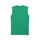 teamFINAL Training Jersey SL Sport Green-PUMA Silver