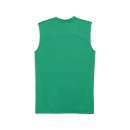 teamFINAL Trainingsshirt SL Sport Green-PUMA Silver