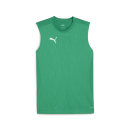 teamFINAL Training Jersey SL Sport Green-PUMA Silver