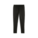 teamFINAL Training Pants PUMA Black-PUMA Silver