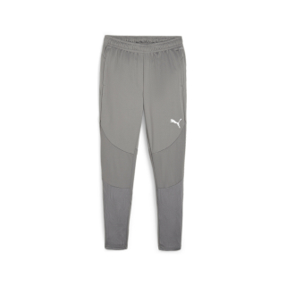 teamFINAL Training Pants Cast Iron-PUMA Silver