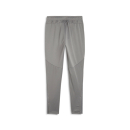 teamFINAL Training Pants Cast Iron-PUMA Silver