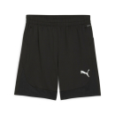 teamFINAL Training Shorts PUMA Black-PUMA Silver