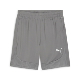 teamFINAL Training Shorts Cast Iron-PUMA Silver