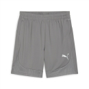 teamFINAL Training Shorts Cast Iron-PUMA Silver