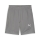 teamFINAL Trainingsshort Cast Iron-PUMA Silver