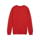 teamGOAL Sweatshirt Junior PUMA Red-PUMA White