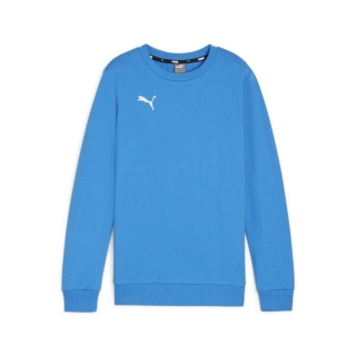 teamGOAL Casuals Crew Neck Sweat Jr Ignite Blue-PUMA White