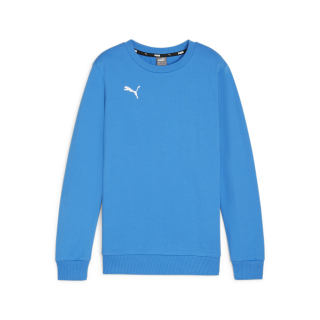 teamGOAL Sweatshirt Junior Ignite Blue-PUMA White