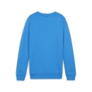 teamGOAL Casuals Crew Neck Sweat Jr Ignite Blue-PUMA White