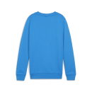 teamGOAL Sweatshirt Junior Ignite Blue-PUMA White