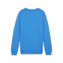 teamGOAL Sweatshirt Junior Ignite Blue-PUMA White