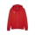 teamGOAL Kapuzenjacke PUMA Red-PUMA White