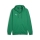 teamGOAL Kapuzenjacke Sport Green-PUMA White