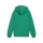 teamGOAL Casuals Hooded Jacket Jr Sport Green-PUMA White