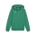 teamGOAL Casuals Hooded Jacket Jr Sport Green-PUMA White