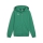 teamGOAL Casuals Hooded Jacket Jr Sport Green-PUMA White