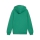 teamGOAL Kapuzenjacke Junior Sport Green-PUMA White