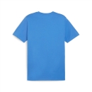 teamGOAL Casuals Tee Ignite Blue-PUMA White